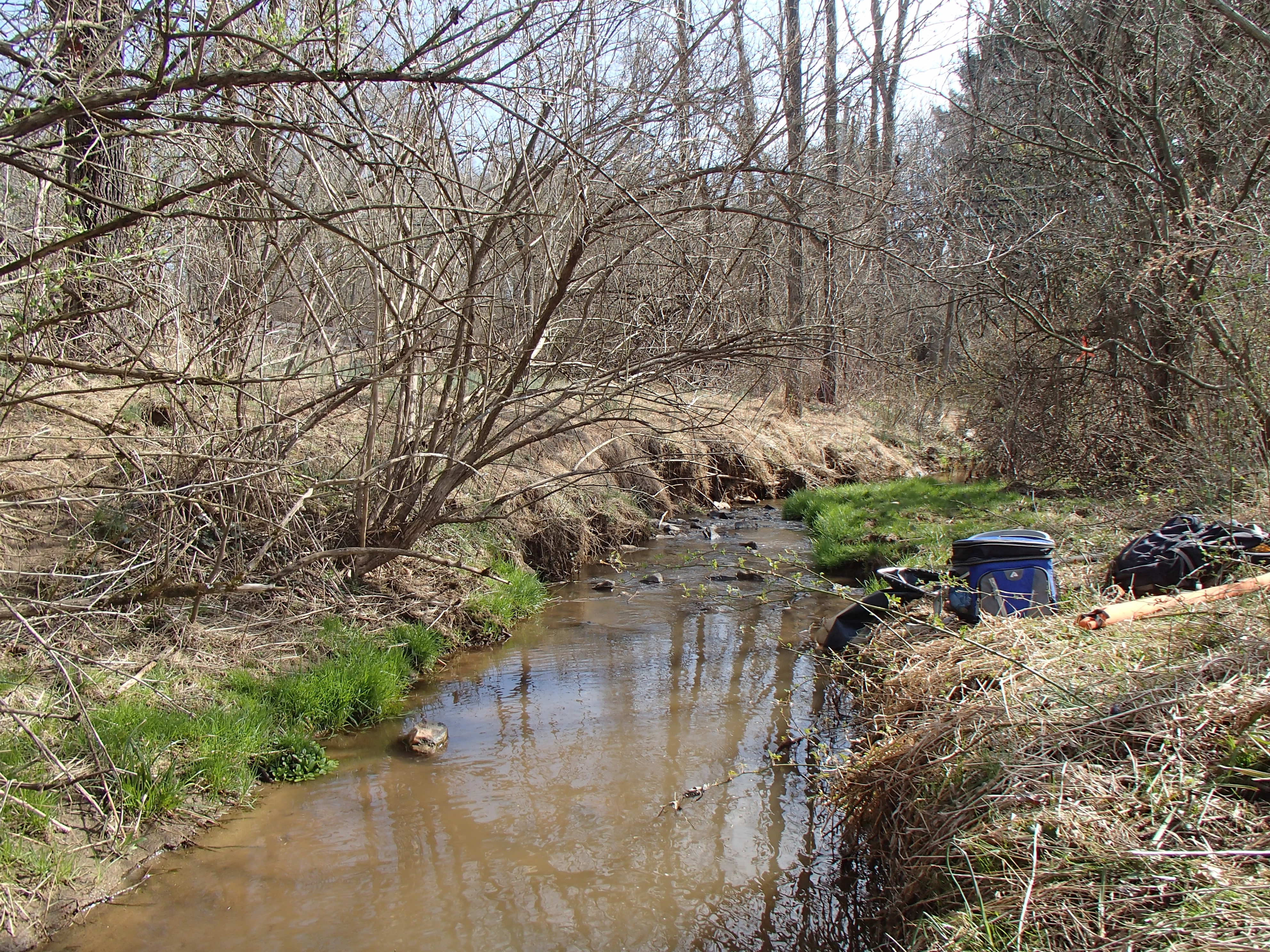 Field photo showing stream conditions at site LOCH-124-R-2016_midpoint looking downstream